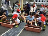 1年1組_生活_泉　茜_雨上がり_10