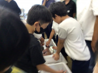 IMG_2977[1]
