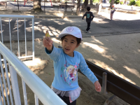 1年1組_生活_泉　茜_和霊公園_11