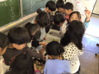 1年1組_生活_泉　茜_和霊公園_59