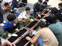 2年1組_れんらく_井場木　才紀_井場木_19