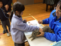 2年1組_れんらく_井場木　才紀_井場木のコピー_2