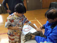 2年1組_れんらく_井場木　才紀_井場木のコピー_11