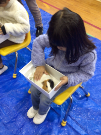 2年1組_れんらく_井場木　才紀_井場木のコピー_80