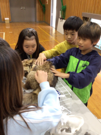 2年1組_れんらく_井場木　才紀_井場木のコピー_96
