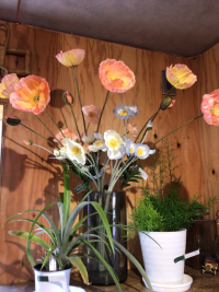 2年1組_生活_井場木　才紀_町たんけん_2