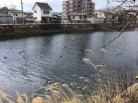 3年1組_総合_二宮郁子_防災さんぽ_38